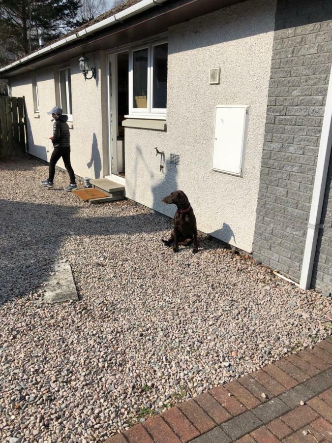 Linmore Aviemore Eksteriør billede