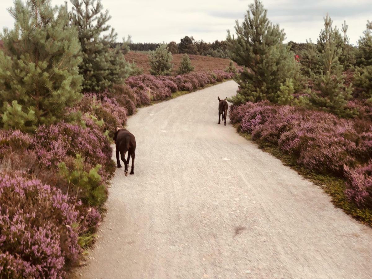 Linmore Aviemore Eksteriør billede
