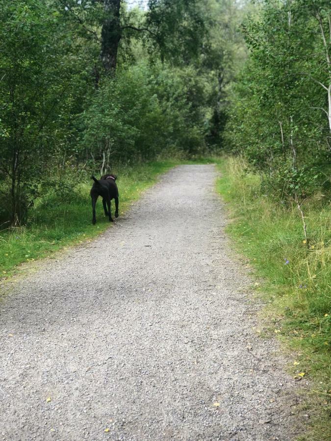Linmore Aviemore Eksteriør billede